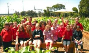 Kids and Healthy Eating, a Community Affair