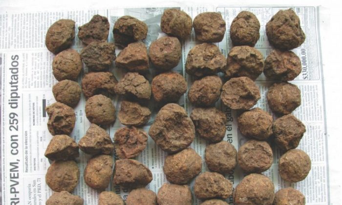 The balls are made of local clay and are over 1,000 years old. (Stephanie Simms/Boston University)