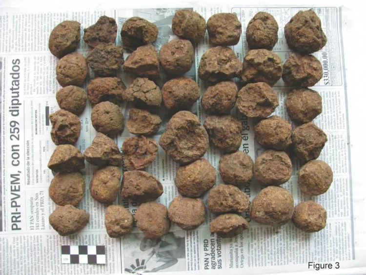 The balls are made of local clay and are over 1,000 years old. (Stephanie Simms/Boston University)
