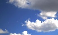 Cloud Computing Grows on Execs: Survey