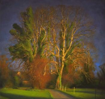 Conor Walton, ‘Landscape and Still Life’