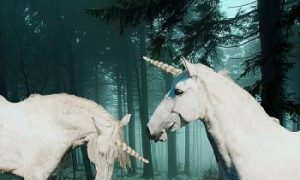 Unicorns as Magical Teachers