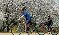 Ontario Coroner’s Report Outlines Strategies to Increase Bike Safety