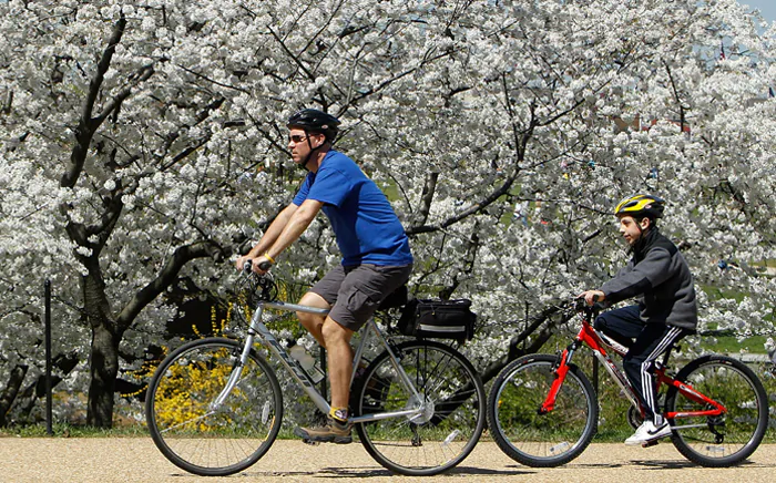 The Ontario chief coroner’s report calls for a comprehensive cycling safety public awareness and education strategy that starts in public schools and continues through the purchase of every new and used bicycle and through driver’s licence testing. (Alex Wong/Getty Images)
