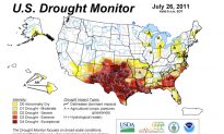 Some Half Billion Trees Lost in Texas Drought