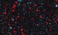 Massive Galaxies Experienced Huge Starbursts in Early Universe