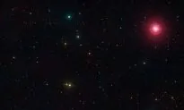 Adolescent Galaxies Grew Through Cannibalism