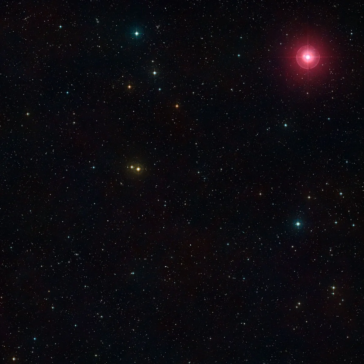 A photographic view created from the Digitized Sky Survey 2 of part of the constellation of Cetus (The Sea Monster). The bright red star at the upper right is the famous variable star Mira (Omicron Ceti) and towards the lower left is the region of space studied in a new survey, using ESO’s VLT and the SINFONI instrument, of the feeding habits of young galaxies as they grew through cosmic time. (Digitized Sky Survey 2. Acknowledgment: Davide De Martin.)