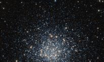 VISTA Sets Stellar Sights on Messier 55