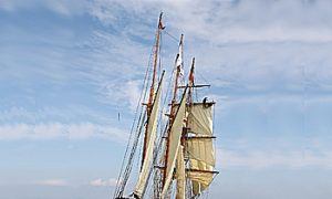 Tall Ships Regatta, Gdynia 2009