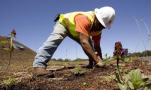 Building Green: Keeping Up With it All