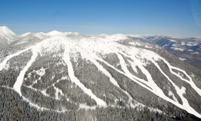 Ski runs on Grey Mountain. Once the Grey Mountain ski terrain expansion is completed, Red Mountain Resort in southeastern B.C.’s Kootenay region will be about the same size as the Mt. Baker Ski Area in Washington State. (Red Mountain Resort)
