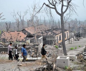 Mount Merapi’s Aftermath: Rotting Cattle