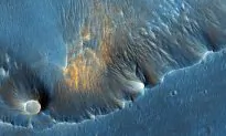 Were Martian Blueberries Molded by Microbes?