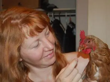 Calgary Mom Fights to Keep Chickens