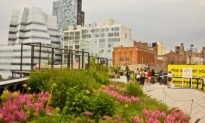 High Line Park Preservation Group Receives Award