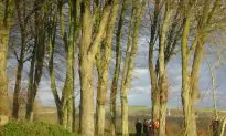 Beyond Paris: Through the Eyes of Lens and Pas-de-Calais