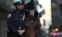 Chicago Police Horses Attacked in Stables