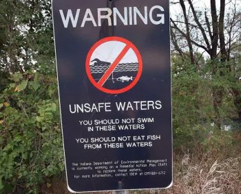 Mercury Elevated in Fish and Waters Throughout Indiana