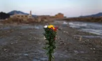 Fukushima a Year On