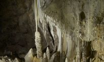 Antibiotic Resistance ‘Hard-Wired’ Into Bacteria in Isolated Cave