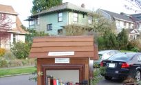 Little Free Libraries Turning Pages Around the World