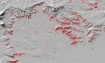 Photo Tags Provide Edge for Finding Fossils