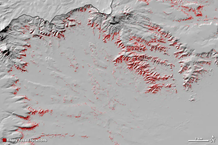 Likely fossil-rich sites—indicated by red dots—in the Great Divide Basin. (Map adapted from Anemone et al., 2011, by Robert Simmon)