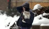 Postal Workers to Stage Hunger Strike in Appeal to Congress