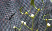 Smithsonian Reveals Mistletoe Lore and Facts