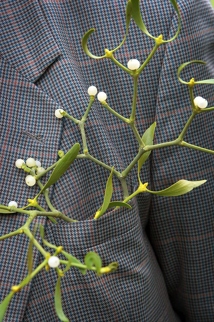 The 'Mistletoe King' alias farmer Stan Yapp poses with Mistletoe from his apple trees in England in this 2007 file photo. (Christopher Furlong/Getty Images)