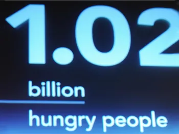 Global Food Crisis Waits to Return