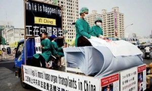 Organ Harvesting Witness Faces Deportation to China