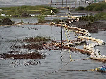Oil Spills Cause Arsenic Buildup in Oceans