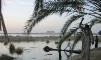 Egypt’s Siwa Oasis: Where History Was Inspired
