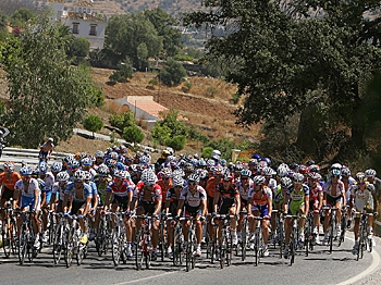 The peloton rides during Stage Three of the Vuelta a España. (Jose Jordan/AFP/Getty Images) The peloton rides during Stage Three of the Vuelta a España. (Jose Jordan/AFP/Getty Images)