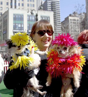 PET FASHION: Dog owners got creative dressing up their pets in their springtime best for the 14th annual 'Petacular Fair' on Herald Square on Sunday. (Phoebe Zheng/The Epoch Times) PET FASHION: Dog owners got creative dressing up their pets in their springtime best for the 14th annual 'Petacular Fair' on Herald Square on Sunday. (Phoebe Zheng/The Epoch Times)