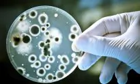 Bacteria Use ‘Chemical Twitter’ and ‘Prisoner’s Dilemma’ to Make Decisions