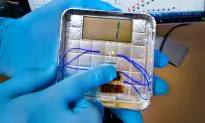 Piezoelectricity Goes Viral (Video)
