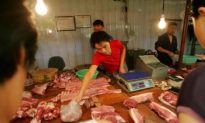 Diseased Pig Meat Sold in China