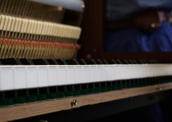 LEVEL PLAYING FIELD: When the keys or hammers of a piano are not spaced evenly, with some higher and some lower, the regulation needs fixing. (Allen Zhou/The Epoch Times) LEVEL PLAYING FIELD: When the keys or hammers of a piano are not spaced evenly, with some higher and some lower, the regulation needs fixing. (Allen Zhou/The Epoch Times)