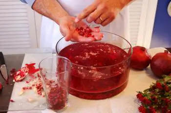 Pomegranate Explosion