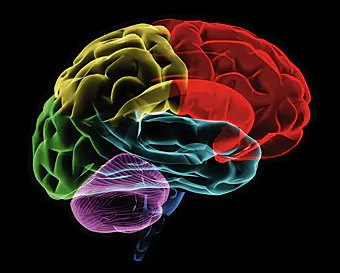 Easily Hypnotized People Can Hallucinate Colors