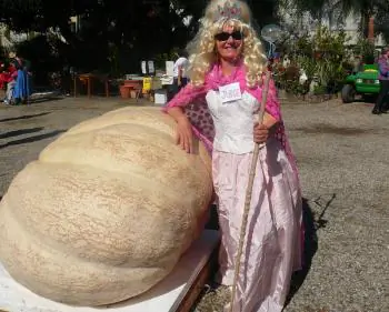 Pumpkinmania! Event Brings the Season Into Focus