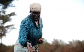 Recipes for Agricultural Innovation to Help Africa’s Poorest