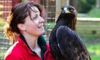 Raptors Showcase ‘Amazing’ Flight Skills