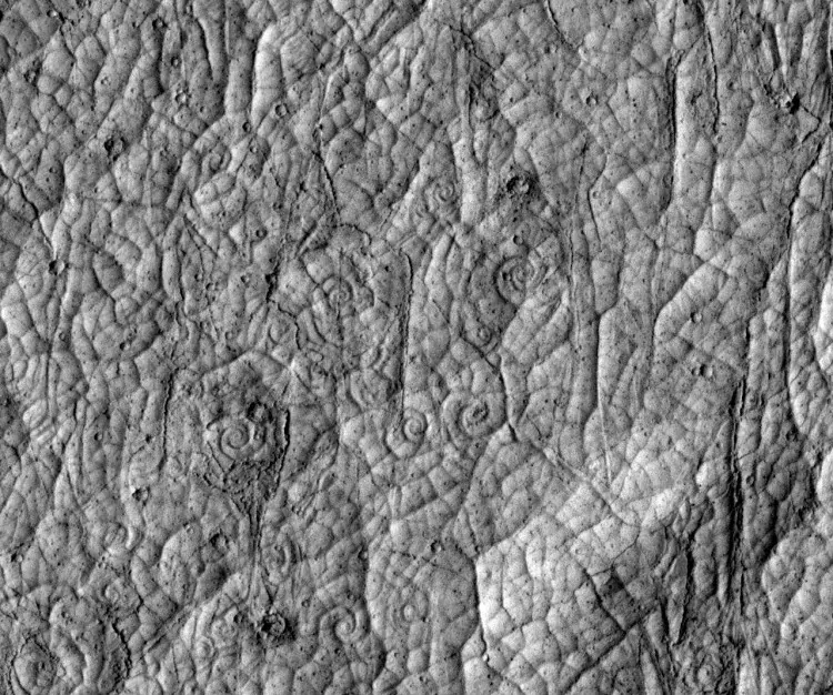 Lava coil on the surface of the 1974 Hawaiian pahoehoe lava flow. (Image courtesy of NASA/JPL/University of Arizona)