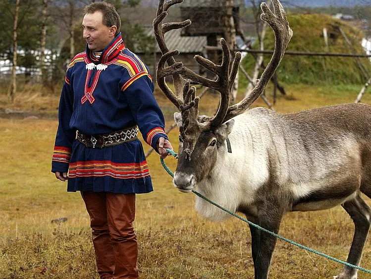 File photo of Sami Nils Tor-Bjoern Nutti, with a reindeer in the Sami village of Jukkasjaervi, outside Kiruna in northern Sweden. The Sami are Scandinavia's only recognized indigenous people. (Sven Nackstrand/AFP/Getty Images)