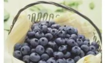B.C.—Blueberry Capital of Canada
