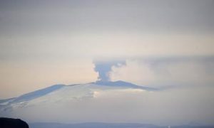 Trapped Between Fight and Flight